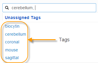 Tagging Search Example Search images
