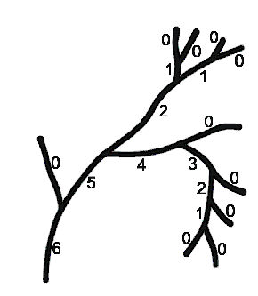 centripetal ordering