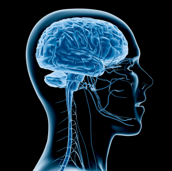 iStock_blue_brain_human