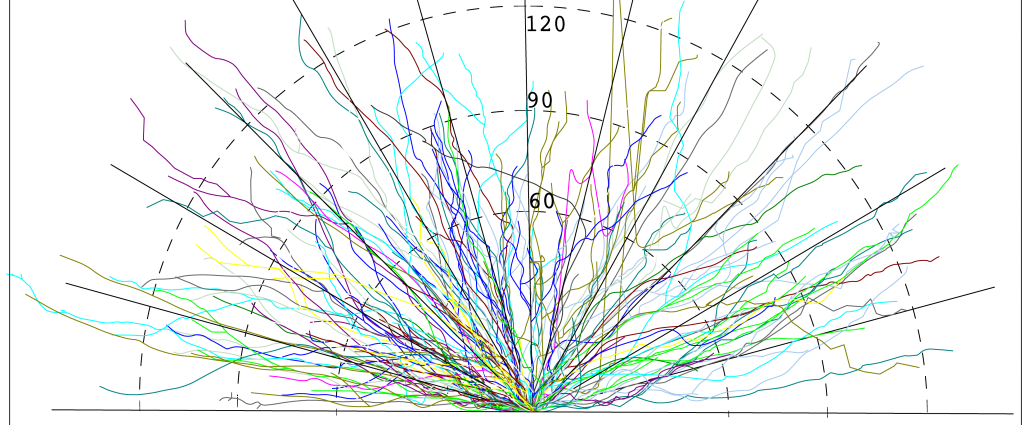 Fan-In Diagram of dendrites of dentate granule cells in dentate gyrus