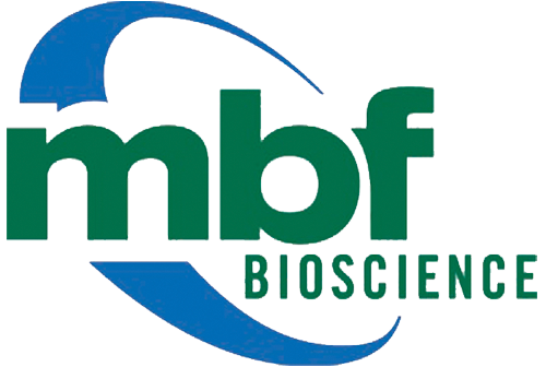 Stereo Investigator® - MBF Bioscience