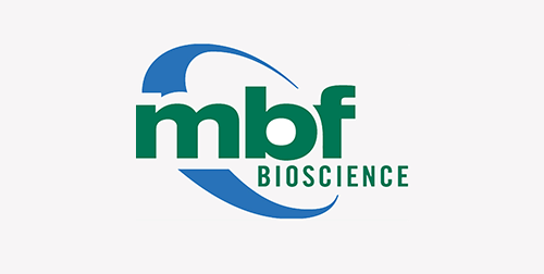 Letter from the President: MBF Bioscience continues its commitment to neuroscience advances