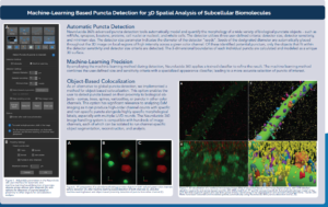 This is a Neurolucida 360 poster