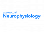 MBF-PeerReview-Neurophysiology-Logo-400x300
