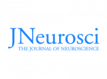 MBF-PeerReview-Neuroscience-R1-Logo-400x300