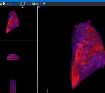 Tissuemaker video