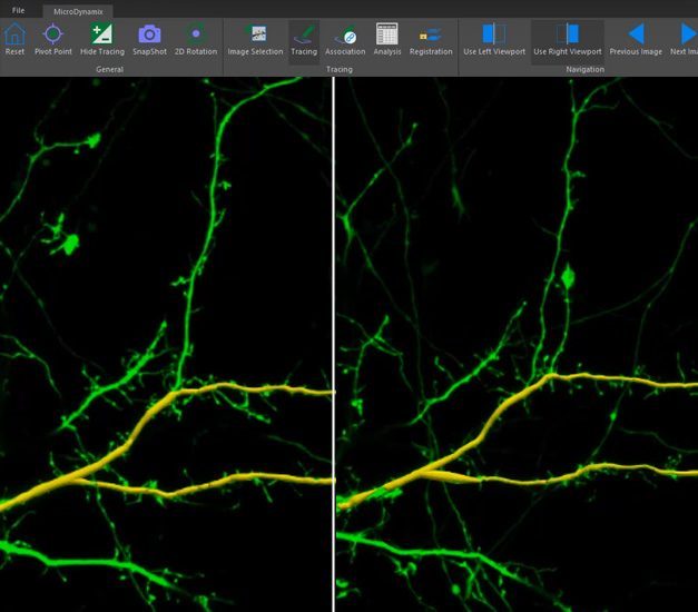 microdynamix image